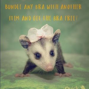 SPECIAL BUNDLE OFFER! 🦋✨🦄🌈💫